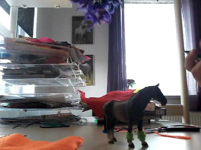 Knutselen met schleich!!♡dekentje♡