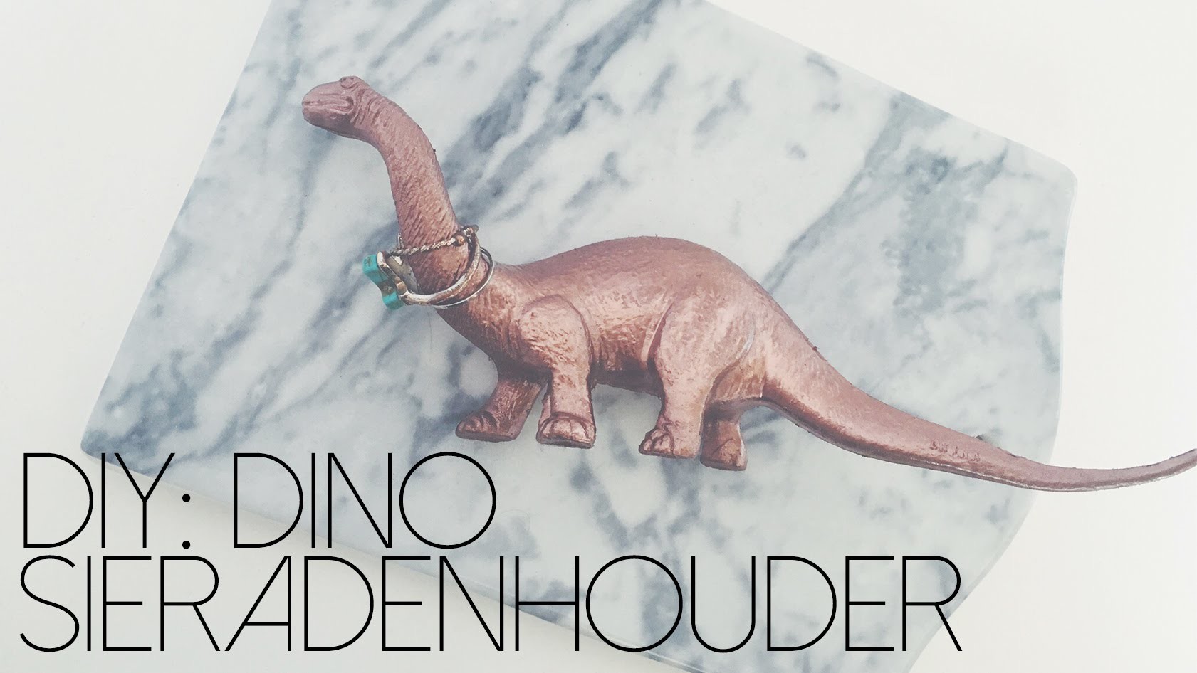 DIY: DINO SIERADENHOUDER