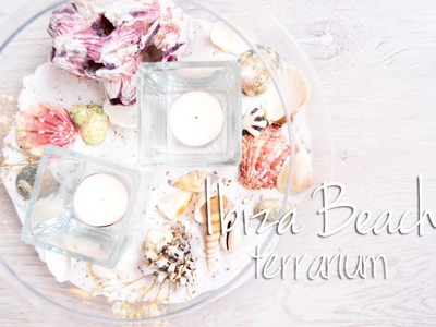 DIY | Ibiza Beach terrarium