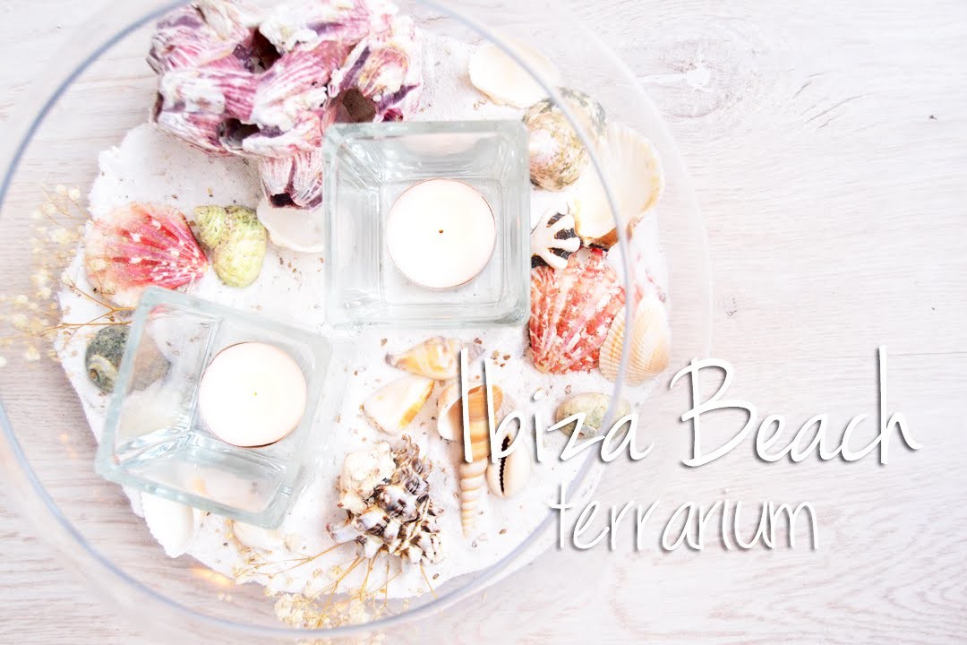 DIY | Ibiza Beach terrarium