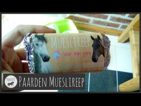 DIY: Paarden Mueslireep maken!