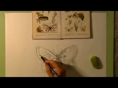 Hoe teken je een Vlinder. dieren tekenen. #9