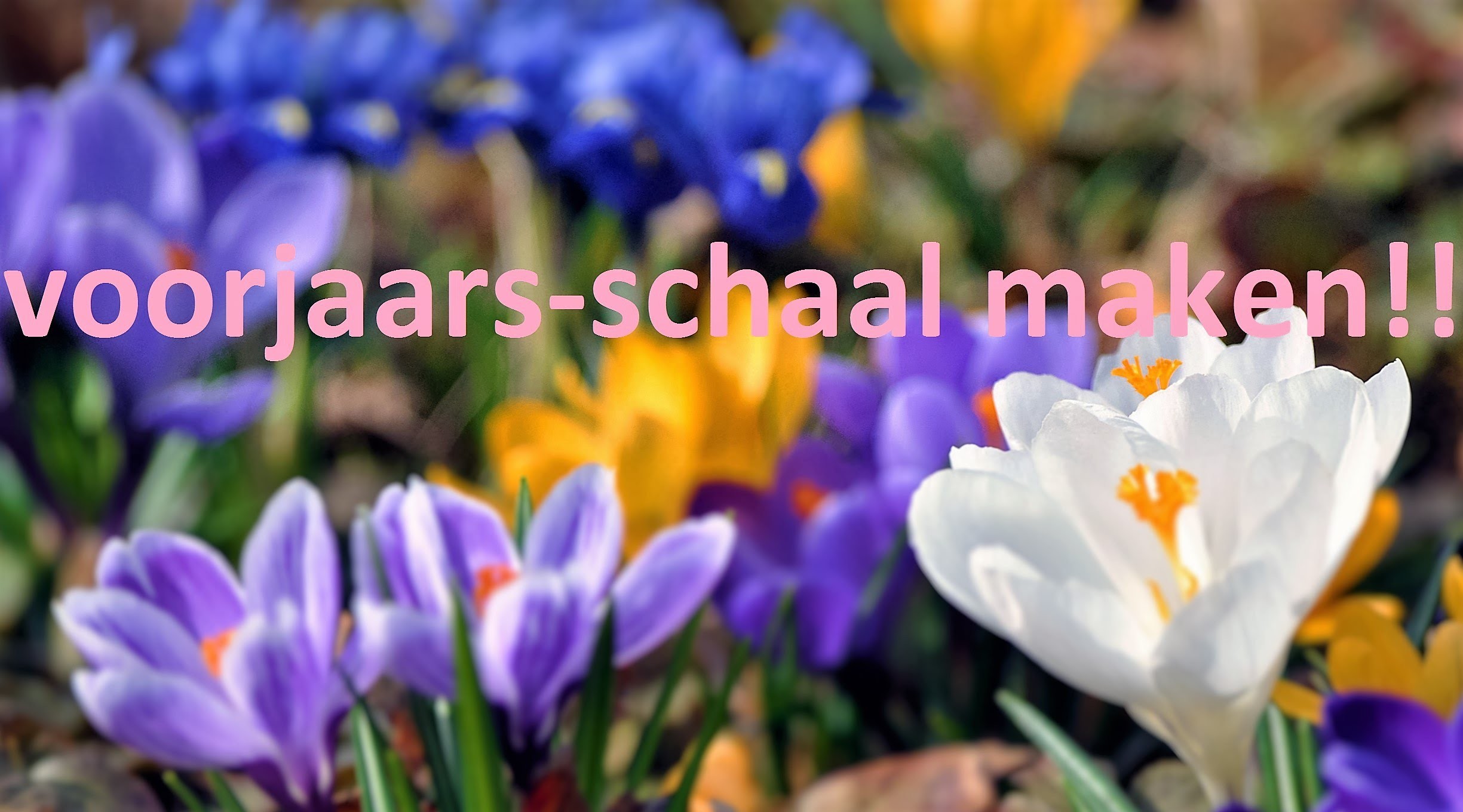 DIY: Voorjaars-schaal maken