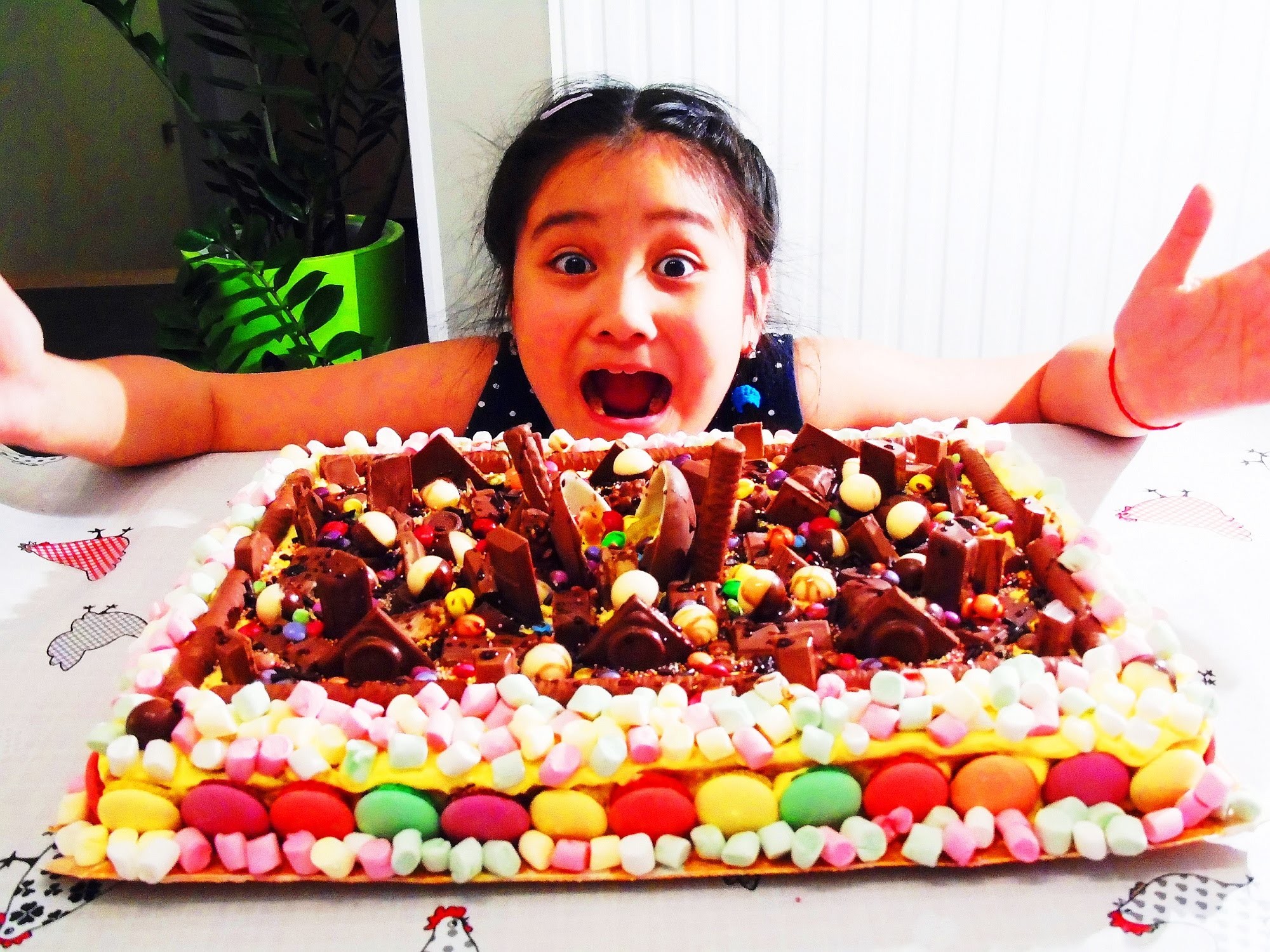 MEGA GROTE SNOEP en CHOCOLADE TAART!!! CRAZY CANDY CAKE!!!