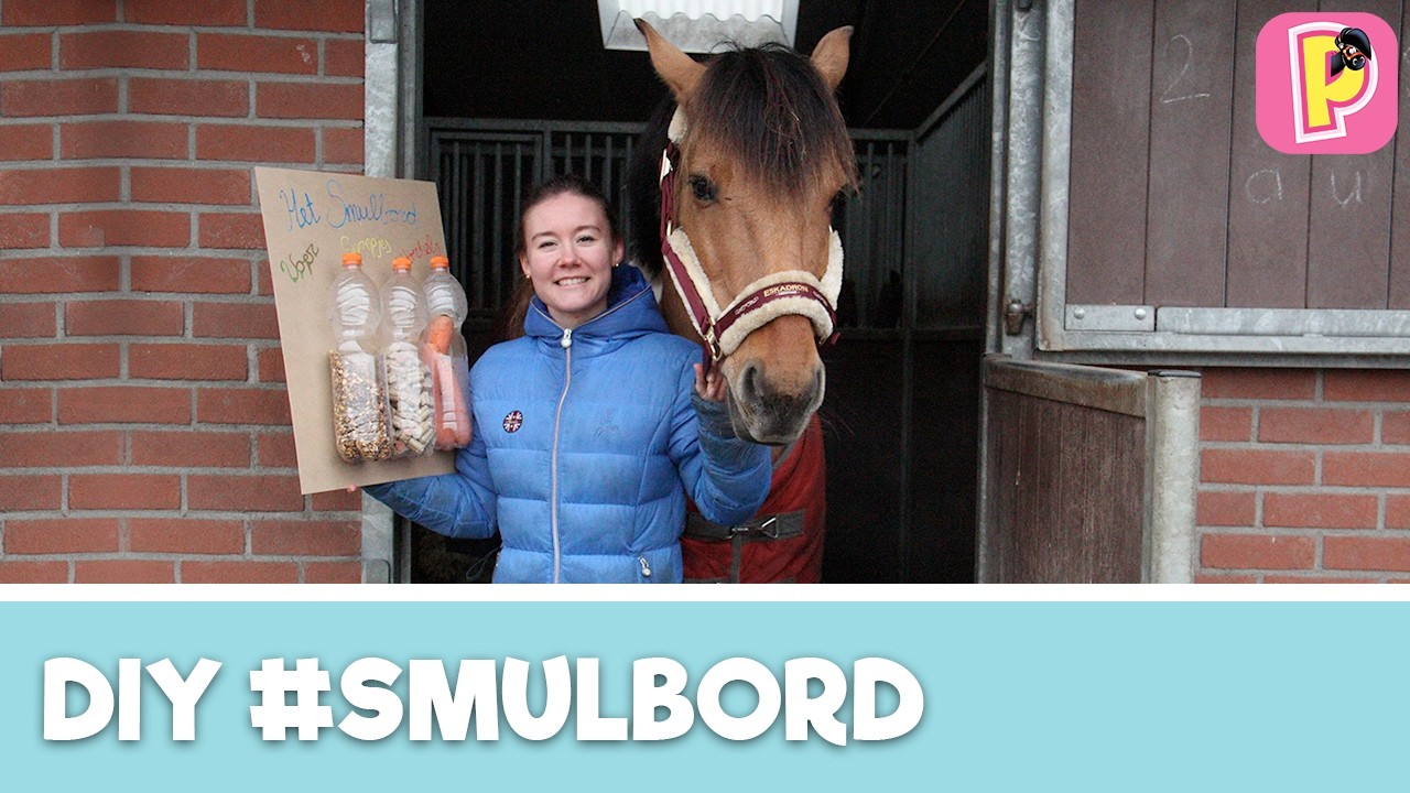Felinehoi maakt Paarden Snoepjesbord | DIY | Penny TV