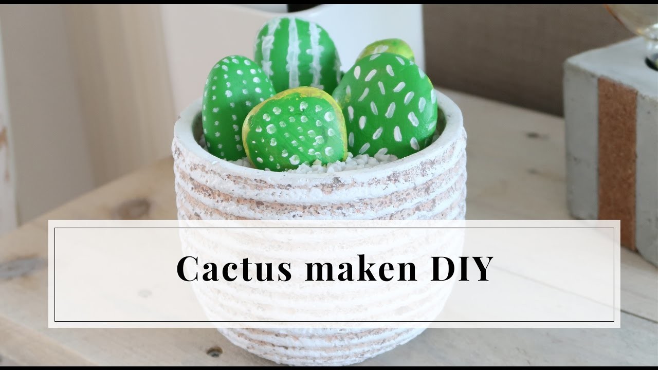 Cactus maken met stenen DIY | Furnlovers