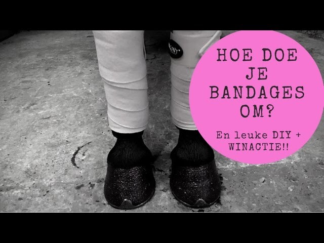 Hoe moet je bandageren? En een leuke DIY & WINACTIE #JoanneNeidhoferHorses #vlog27