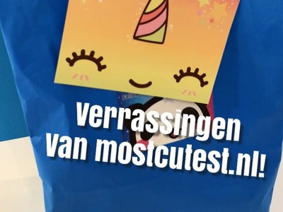 200K volgers op TikTok! Unboxing Mostcutest.nl! (Snacks proeven)