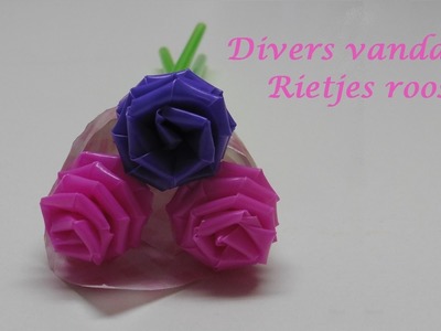 Divers vandaag: Rietjes roos