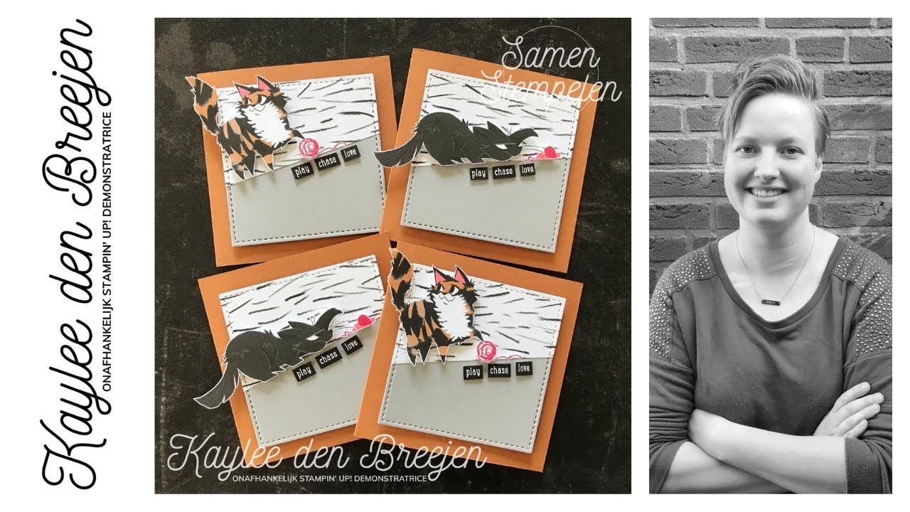 NL Stampin' Up! - Playful Pets Kaarten