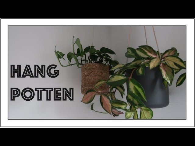 Hangpot DIY | De Kleine Groene Planeet