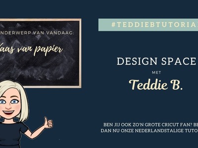 Papieren Vaas | Teddie B.
