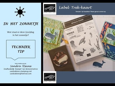 Label Trek-kaart Tutorial met de Whale Done Bundle - Stampin' Up! "In het zonnetje": Techniek Tip