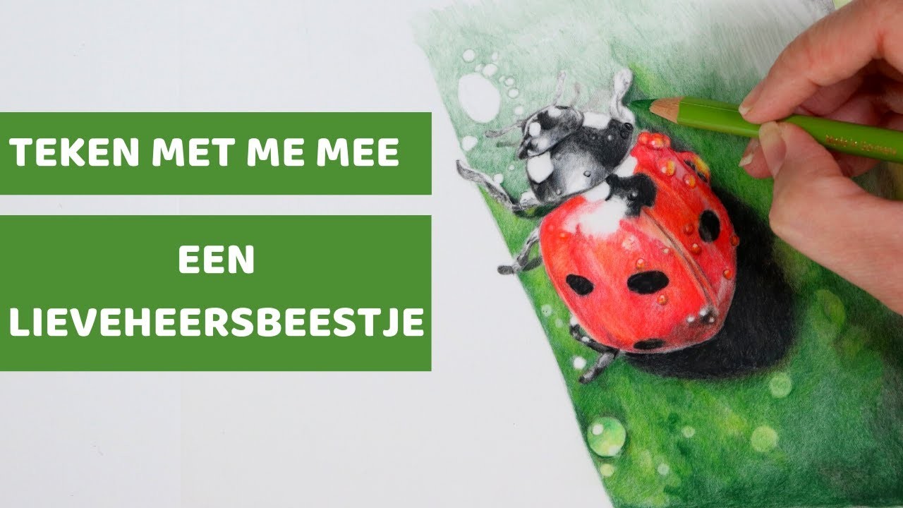 Tekenen voor beginners: EEN LIEVEHEERSBEESTJE (vier de zomer!)