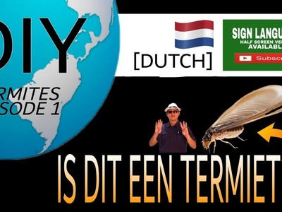 DUTCH TERMIET EP 01