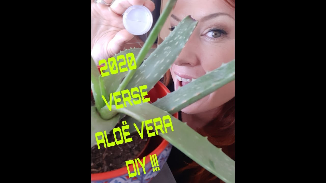 2020 verse ALOË VERA bewerken DIY