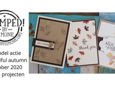 Stampin' Up! - Bundel focus Beautiful autumn