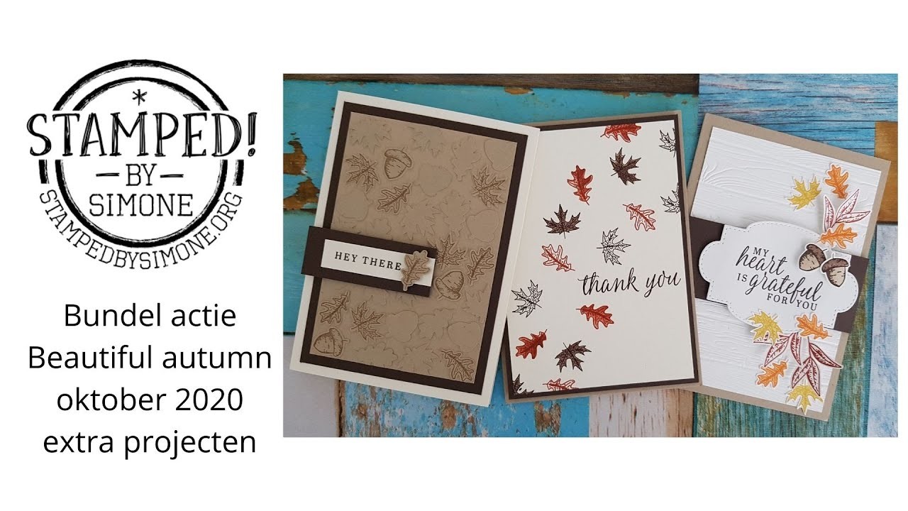 Stampin' Up! - Bundel focus Beautiful autumn