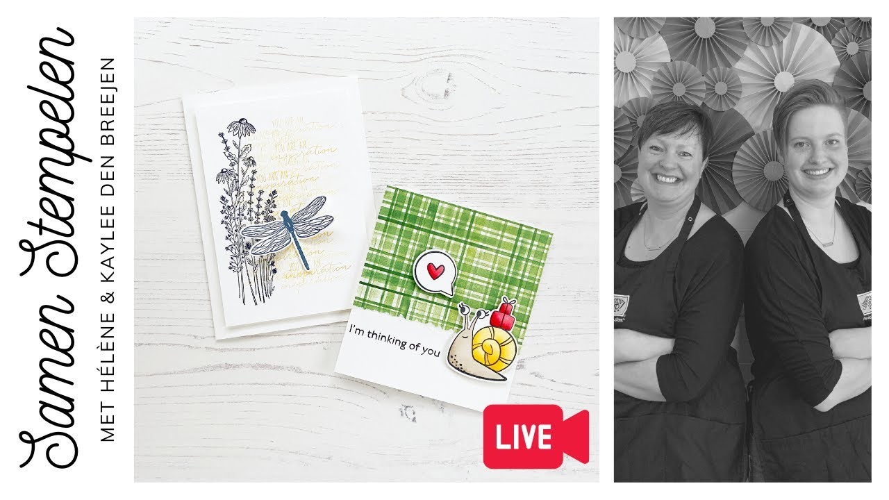 NL Stampin’ Up! | Slak & Libelle | LIVE 14