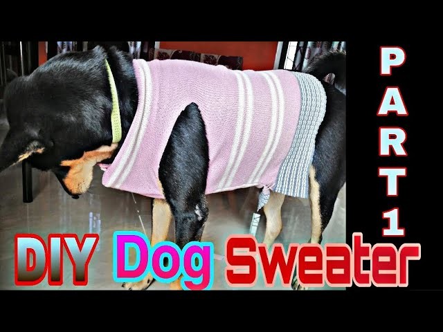 ||DIY Dog Sweater part-1||DIY Medium Breed Dog Sweater ||quick and easy dog sweater ||