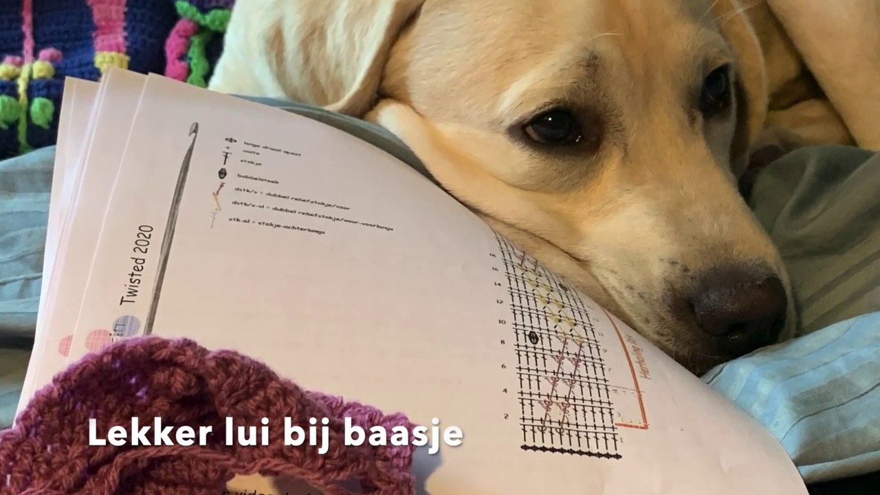 Haakvlog: Haakplein Twisted cal deel 4