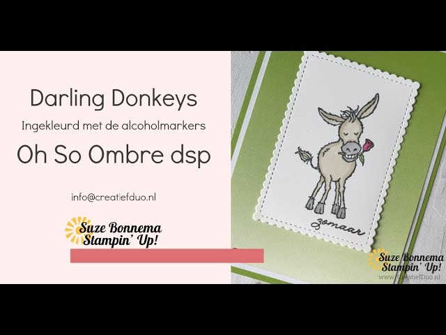 Stampin' Up! NL - Darling donkeys en het Oh So Ombre - wat is de Sale a Bration actie. SAB