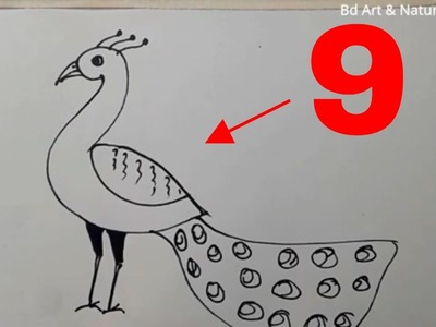 How to Draw Peacock using Number 9 step by step || Easy picture drawing with number || ময়ূর আঁকা