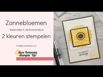 Stampin' Up! NL - Bijzondere zonnebloemen  - inkleuren met je waterkwast