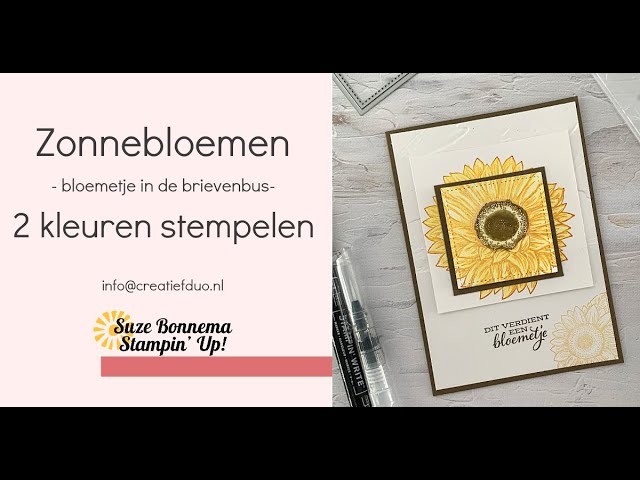 Stampin' Up! NL - Bijzondere zonnebloemen  - inkleuren met je waterkwast