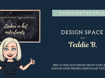 Nederlandse zoektermen  - Teddie B.