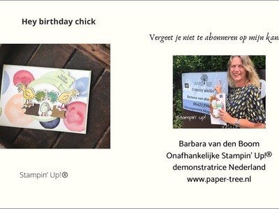 In blijde verwachting kaart met de kippies van Stampin’ Up!®️ Hoe ik 1 kip in spiegelbeeld stempel