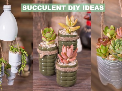 6 Succulent DIY Ideas & Plastic Recycling| Tái chế chai nhựa trồng sen đá| 多肉植物| 다육이들 | Suculentas