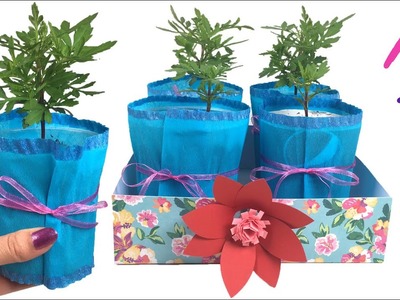 Giftbox maken voor plantjes (cadeau)