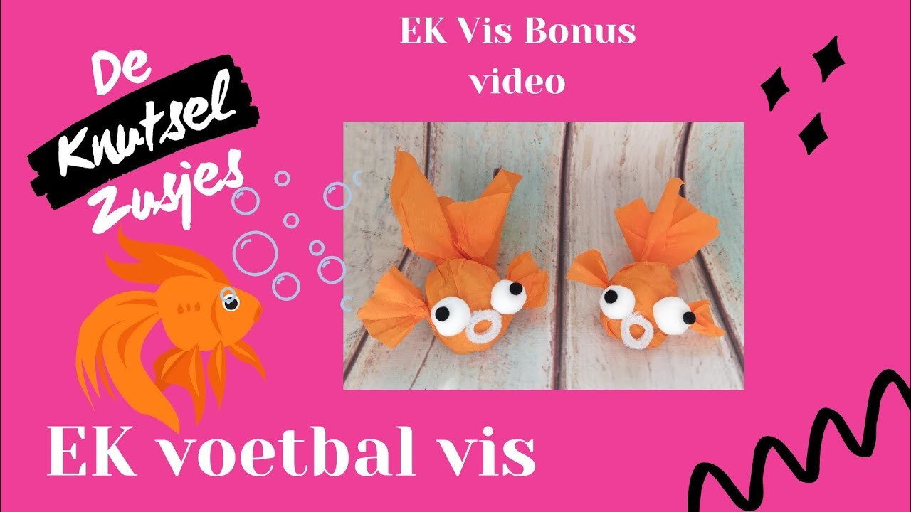 EK Vis Bonus Video