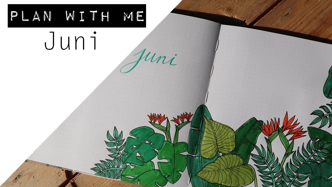 PLAN WITH ME || Juni Bullet Journal Setup Nederlands