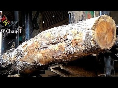 Sawmill dikagetkan dengan penemuan serat kayu jati aneh.mengakibatkan kayu ini dibandrol lebih mahal