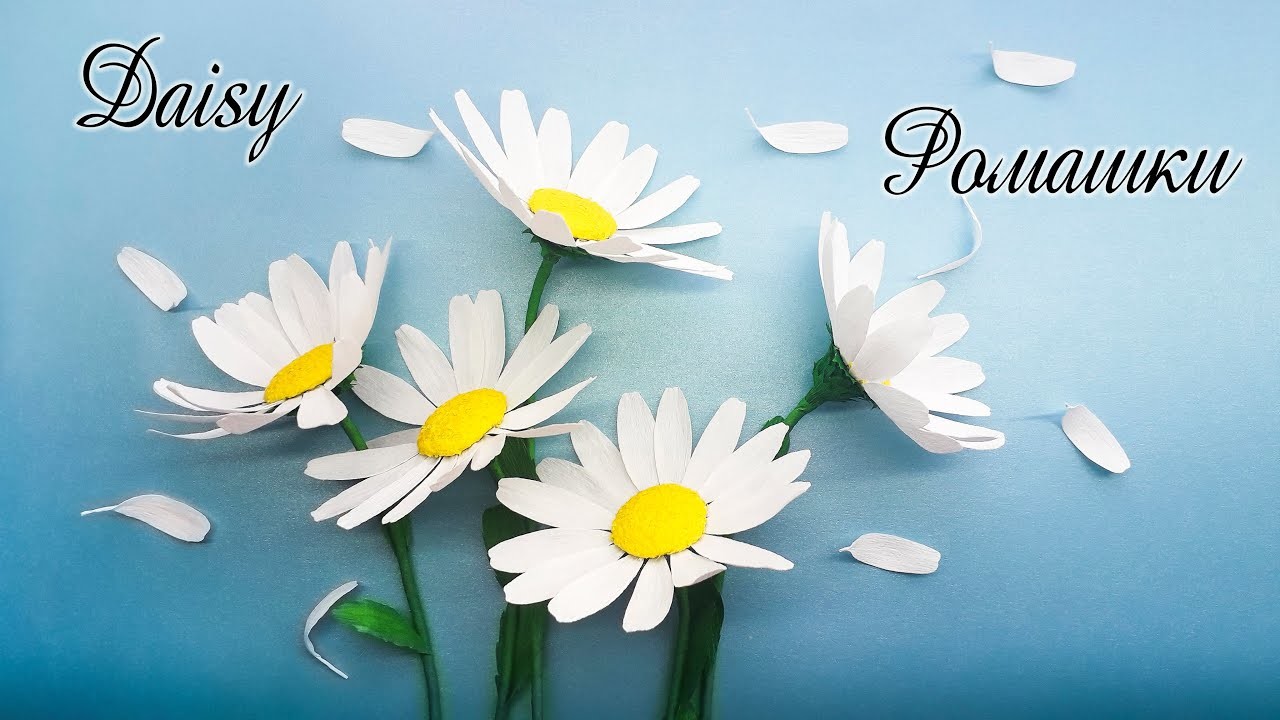 Ромашки из бумаги. Diy paper Daisy (Bellis perennis)