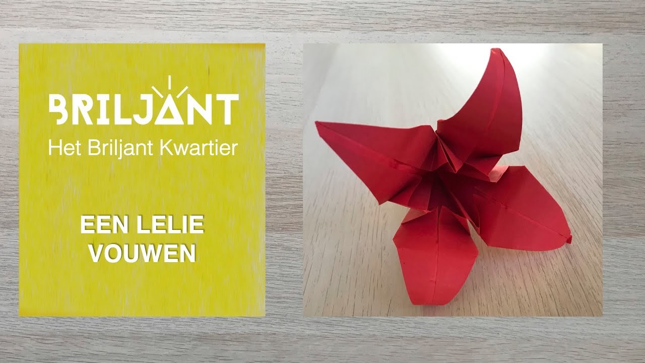 EEN LELIE VOUWEN - Het Briljant Kwartier #60 (origami)