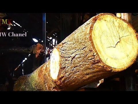 Proses produksi massal kayu speaker bass !! Efek suntikan dana dari cina bikin sawmill makin jaya