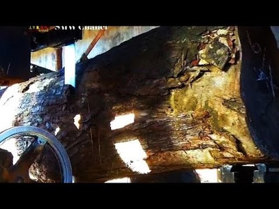 Wow amazing,,kayu monster terkuat di sawmill.berserat cantik berwarna menarik dengan Harga terbaik