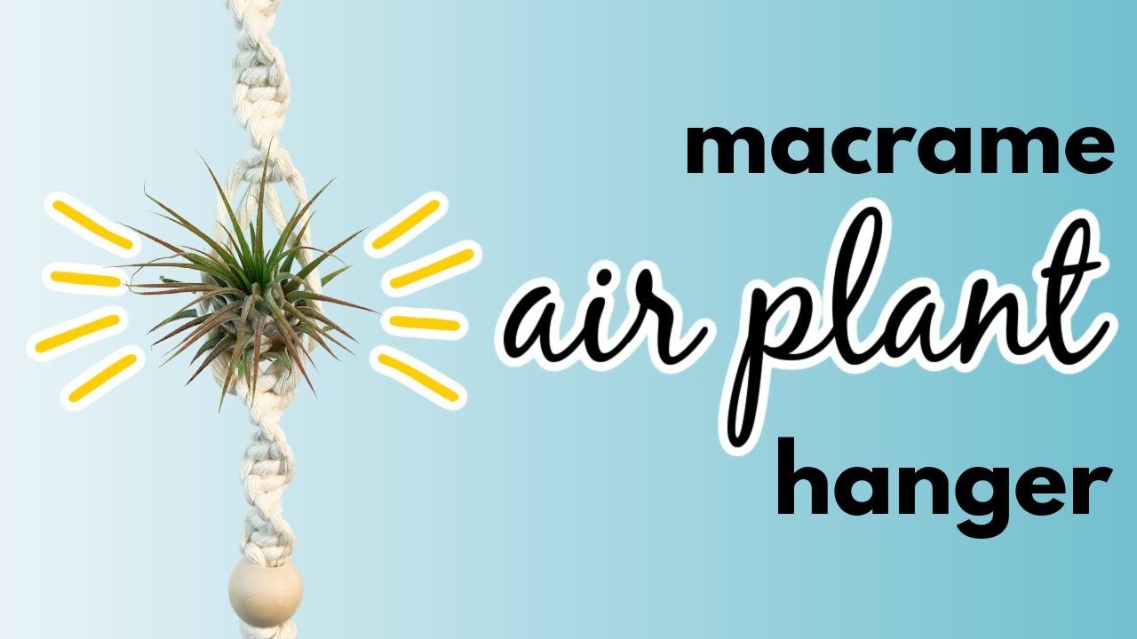 Macrame Air Plant Hanger DIY