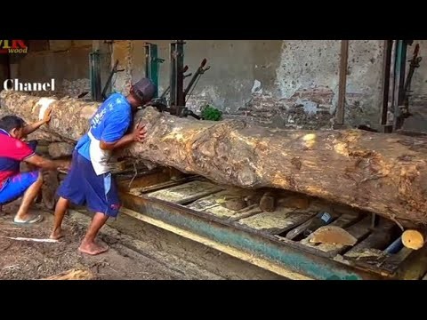 AMAZING,,kayu jati panjang dan besar pengobat rasa penasaran bos yang haus akan kepuasan di sawmil