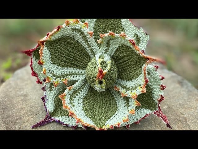Crochet Succulent: Dwarf Butterfly Agave #shorts