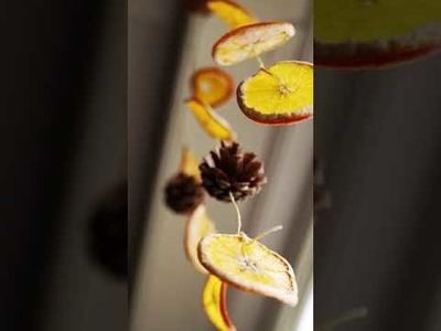 ACTION Shorts DIY: De leukste herfsthanger van Sinaasappelschijfjes ????????