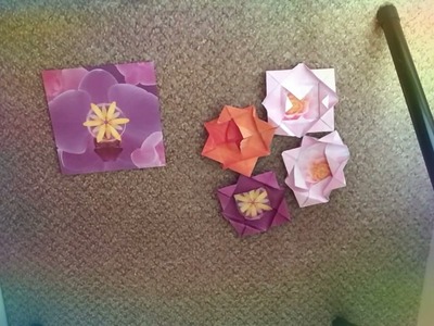 Make a origami water lily