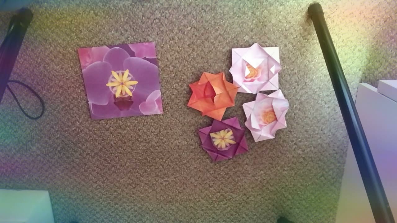 Make a origami water lily