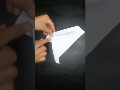 Butterfly Paper Plane