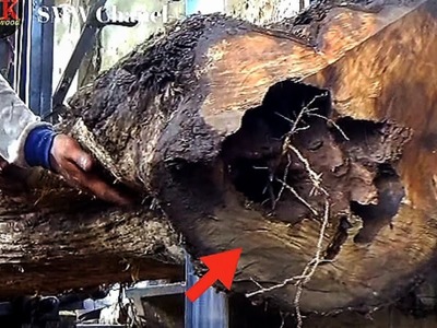 Bagai Sarang madu beracun,,apa yg terjadi pada kayu ini sungguh diluar dugaan